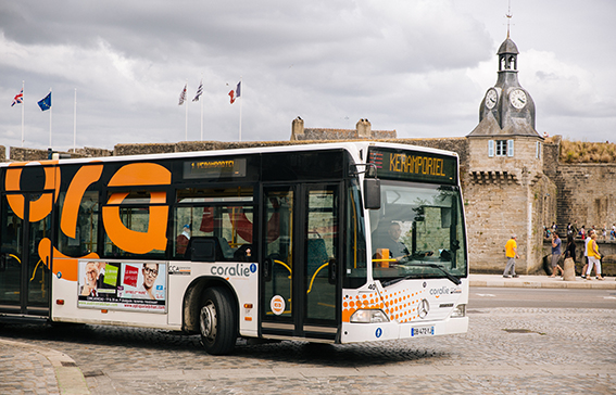 Coralie, le réseau de bus