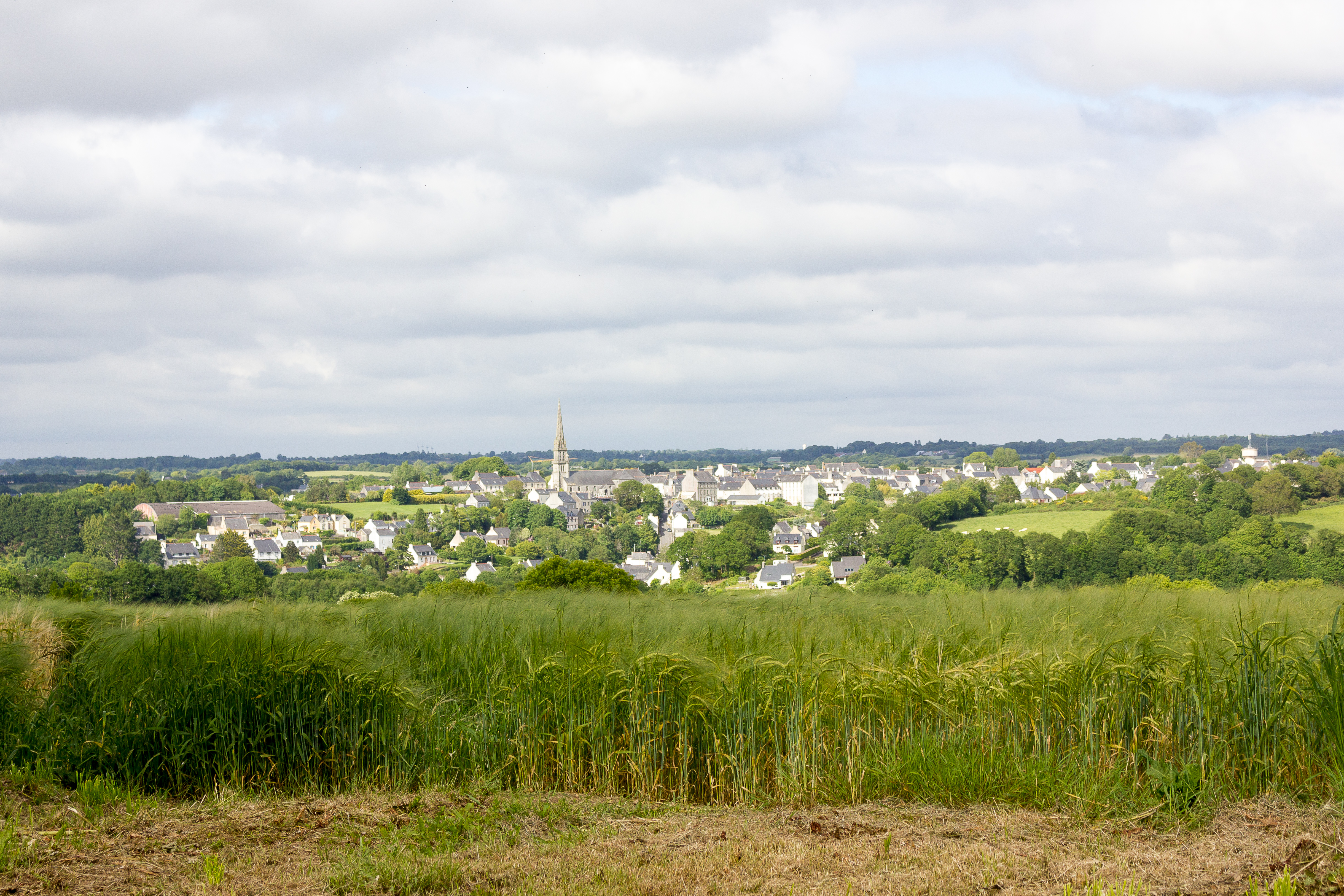 Découvrir Elliant et son Histoire